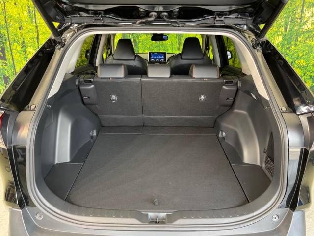 Toyota RAV4 2019-05 5917-10