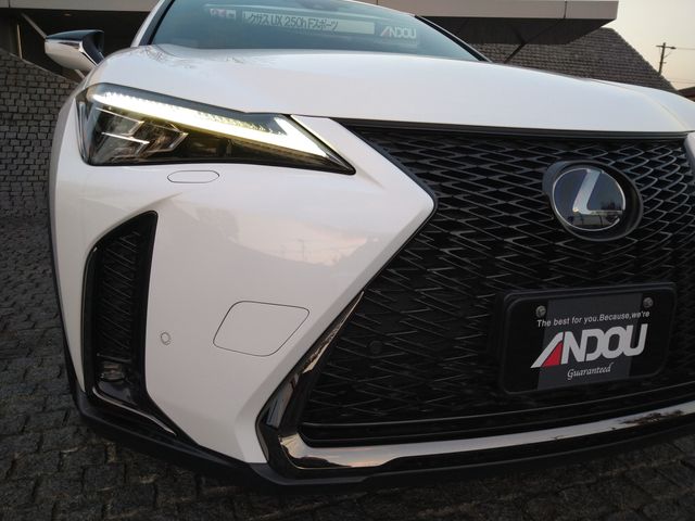 Lexus UX 2019-03 12783-5