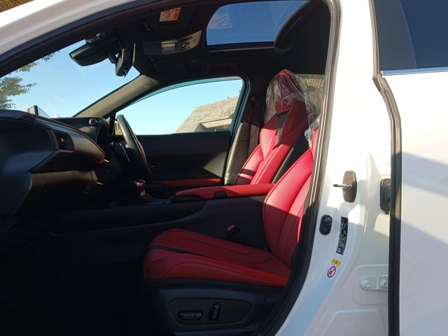 Lexus UX 2019-03 12783-22