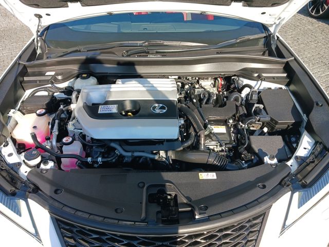 Lexus UX 2019-03 12783-29