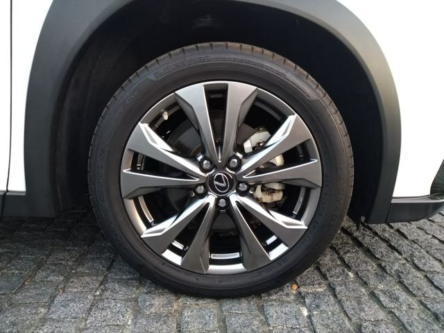 Lexus UX 2019-03 12783-7