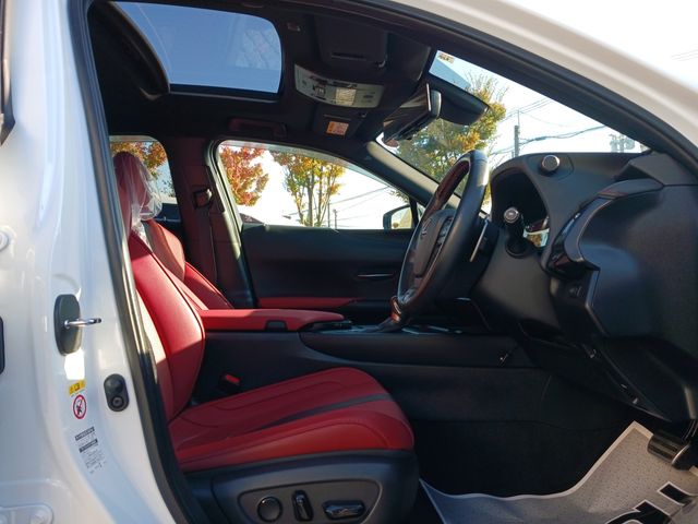 Lexus UX 2019-03 12783-9