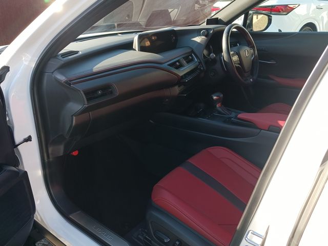 Lexus UX 2019-03 12783-24