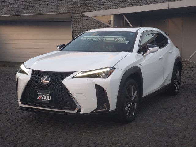 Lexus UX 2019-03 12783-0