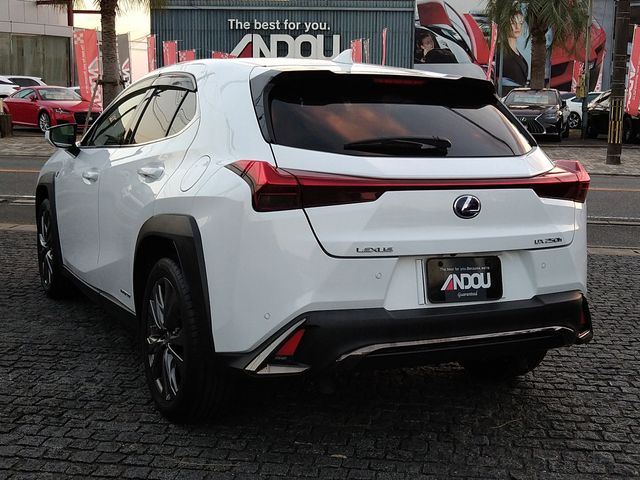 Lexus UX 2019-03 12783-2