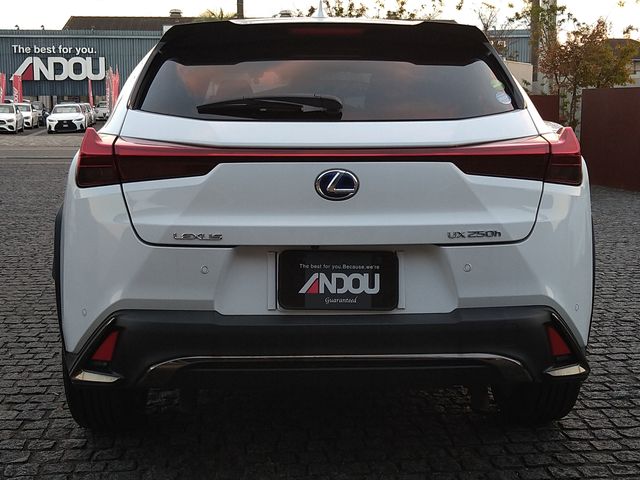 Lexus UX 2019-03 12783-6