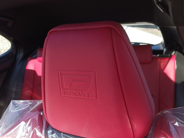 Lexus UX 2019-03 12783-23