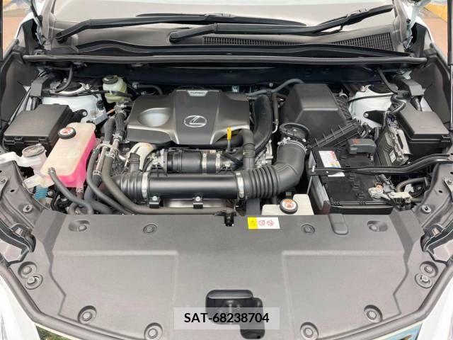 Lexus NX 2018-03 211451-18