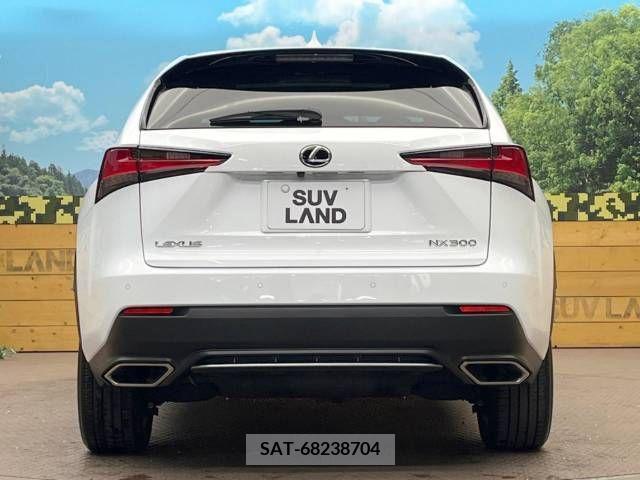 Lexus NX 2018-03 211451-15