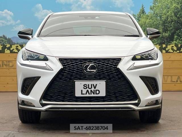 Lexus NX 2018-03 211451-14