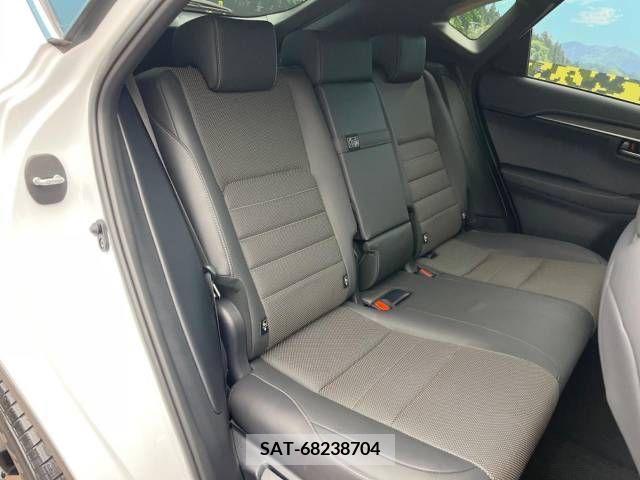 Lexus NX 2018-03 211451-9