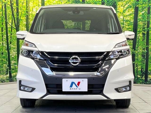 Nissan SERENA 2019-06 22915-15