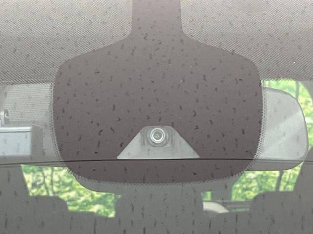 Nissan SERENA 2019-06 22915-4