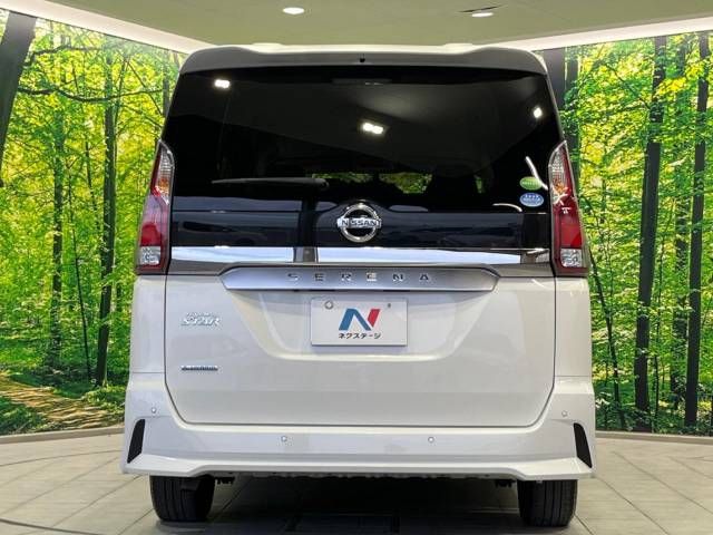 Nissan SERENA 2019-06 22915-16