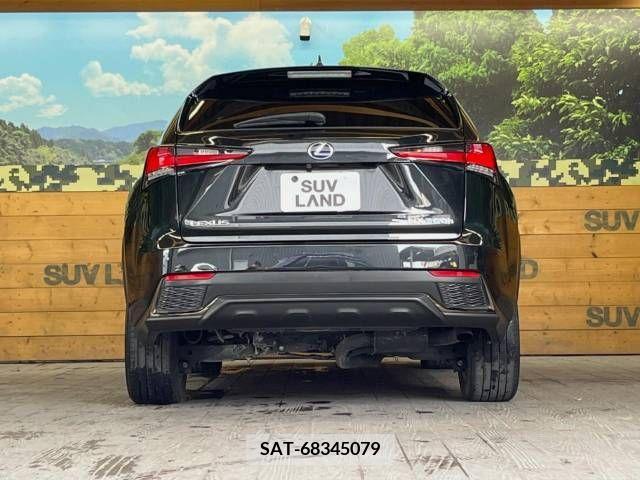 Lexus NX 2019-05 300555-14