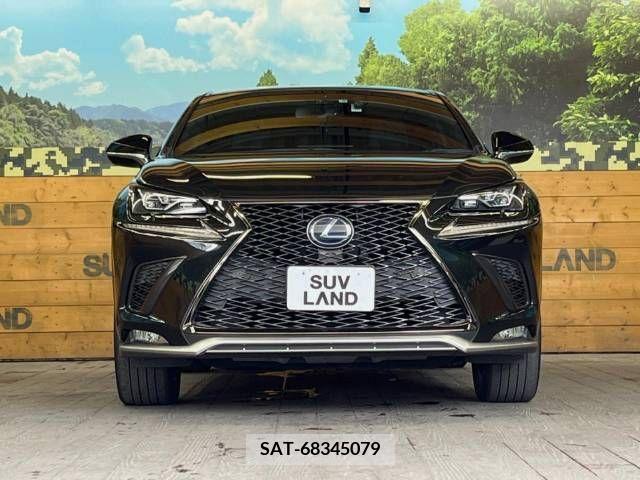 Lexus NX 2019-05 300555-13