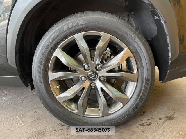 Lexus NX 2019-05 300555-12