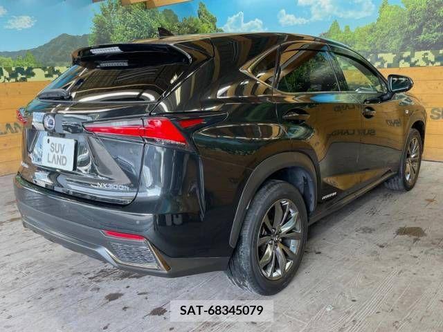 Lexus NX 2019-05 300555-16
