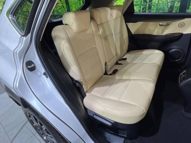 Lexus NX 2016-07 189542-9