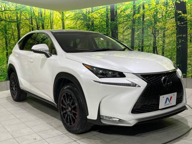Lexus NX 2016-07 189542-16