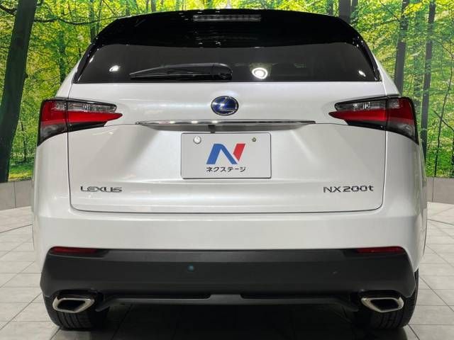 Lexus NX 2016-07 189542-15