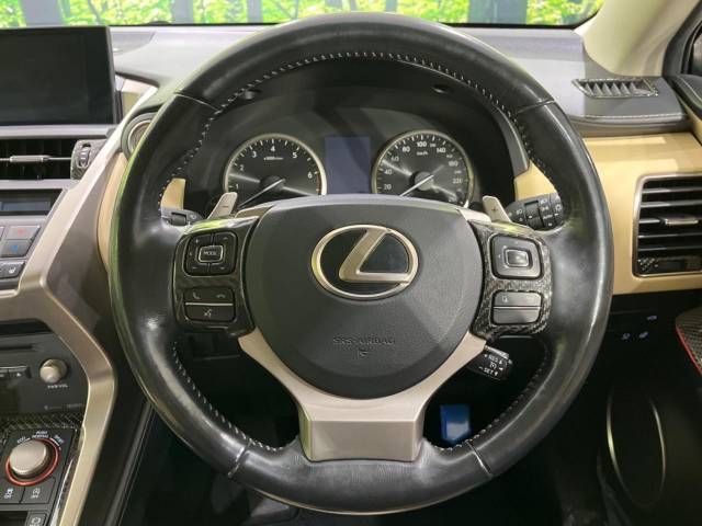 Lexus NX 2016-07 189542-11