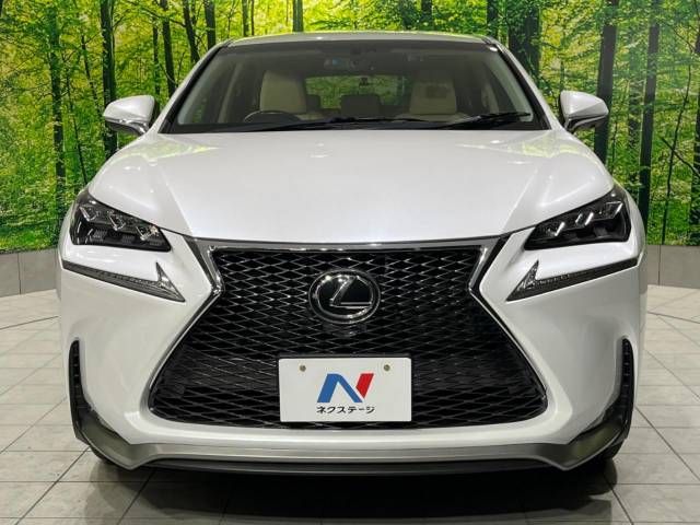 Lexus NX 2016-07 189542-14