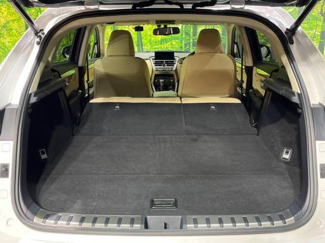 Lexus NX 2016-07 189542-10