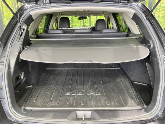 Subaru OUTBACK 2015-09 12671-10