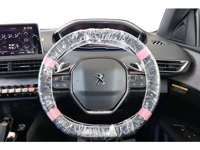 Peugeot 3008 2023-08 25033-12