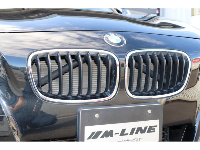 Bmw 1 SERIES 2013-09 12053-21