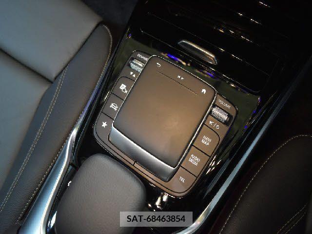 Amg A-Class 2020-03 222511-11