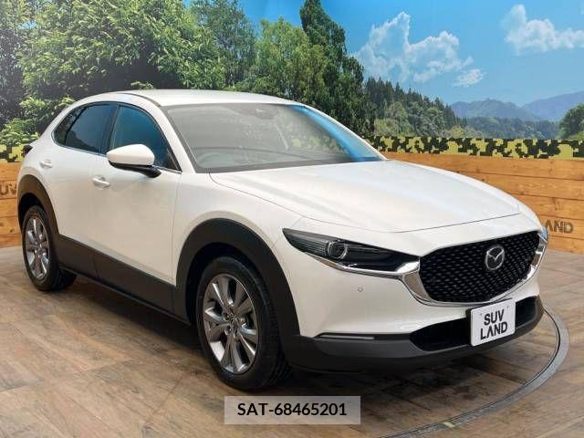 Mazda CX-30 2020-02 302077-15