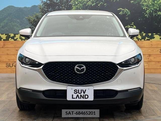 Mazda CX-30 2020-02 302077-14