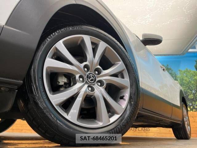 Mazda CX-30 2020-02 302077-13