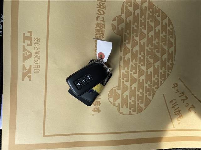 Lexus RX 2021-09 4261-18