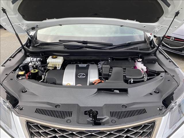 Lexus RX 2021-09 4261-17