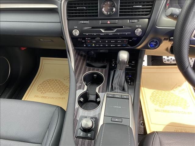 Lexus RX 2021-09 4261-8