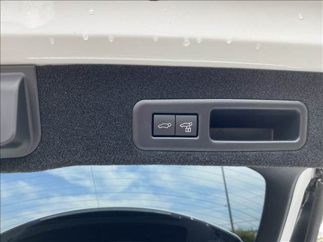 Lexus RX 2021-09 4261-11