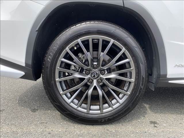Lexus RX 2021-09 4261-19
