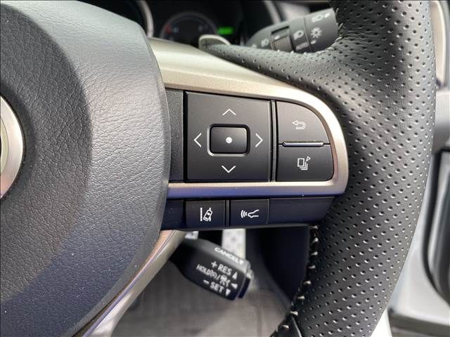 Lexus RX 2021-09 4261-10