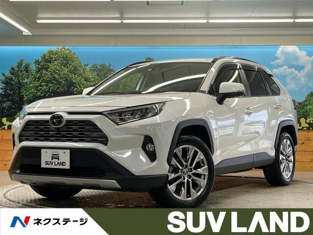 Toyota RAV4 2020-10 15787-0