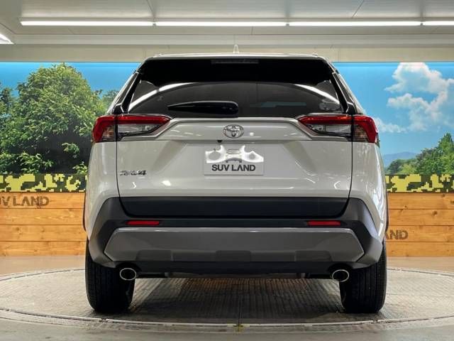 Toyota RAV4 2020-10 15787-15