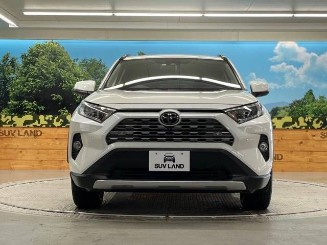 Toyota RAV4 2020-10 15787-14