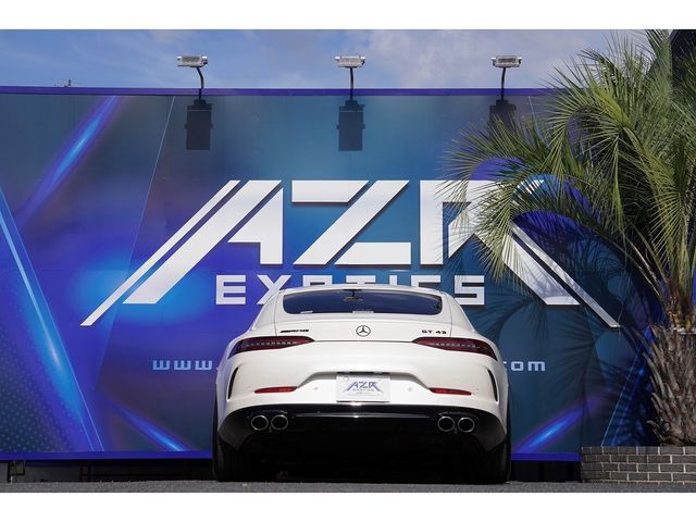 Amg GT 2019-11 184248-5
