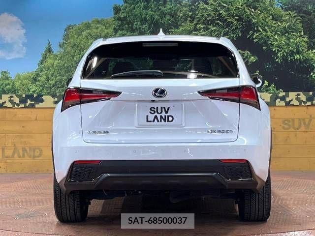 Lexus NX 2018-12 275670-15