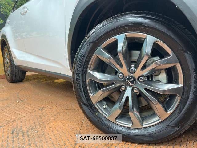 Lexus NX 2018-12 275670-13