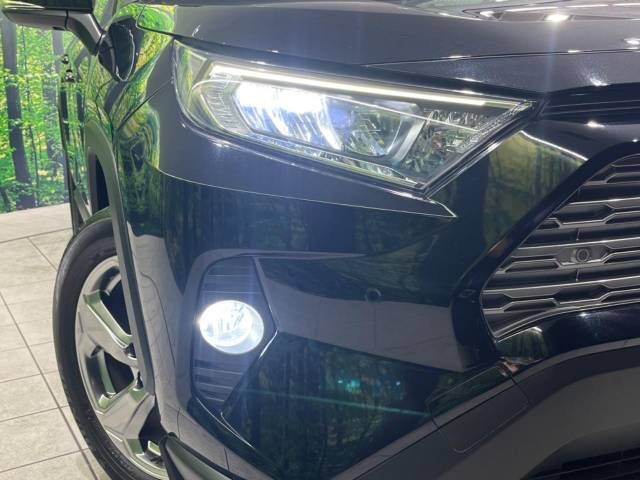 Toyota RAV4 2020-11 193076-12