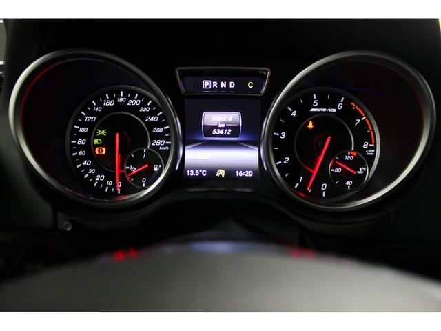 Amg G-CLASS 2016-06 182060-19