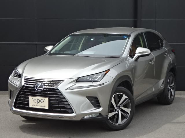 Lexus NX 2018-05 4674-0